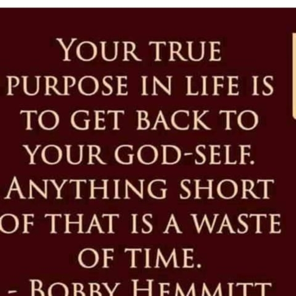 Meet your Posher, Tbone - Picture 1 of 1